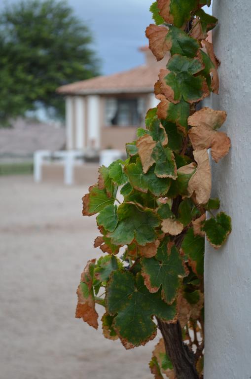 Finca El Carmen Angastaco Εξωτερικό φωτογραφία