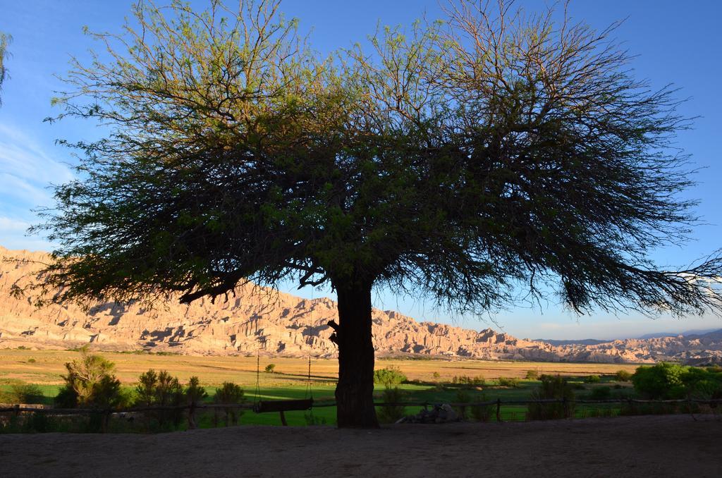 Finca El Carmen Angastaco Εξωτερικό φωτογραφία